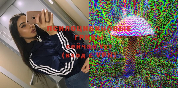 ПСИЛОЦИБИНОВЫЕ ГРИБЫ Мегион