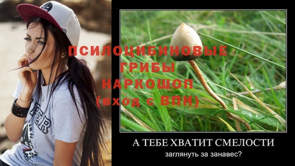 дмт Белая Калитва