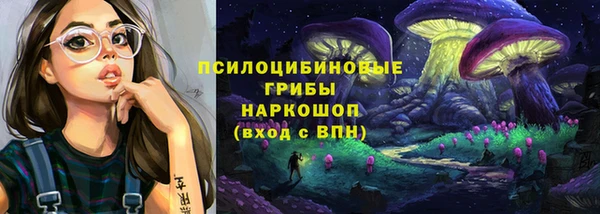 спиды Белая Холуница