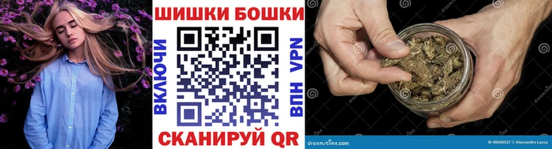 Купить закладки  Ковылкино  Канабис AK-47 
